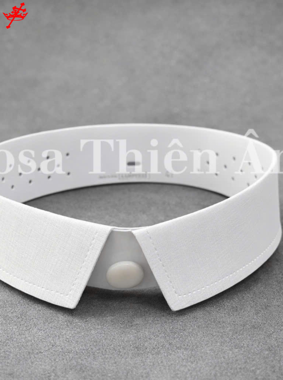 COL Ý 2 LÁ _ KHÔNG KÈM CÚC